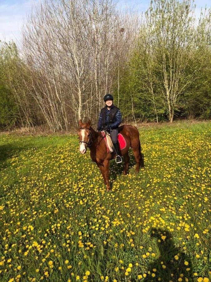 B&B Bloemenweelde Arrondissement di Courtrai Esterno foto