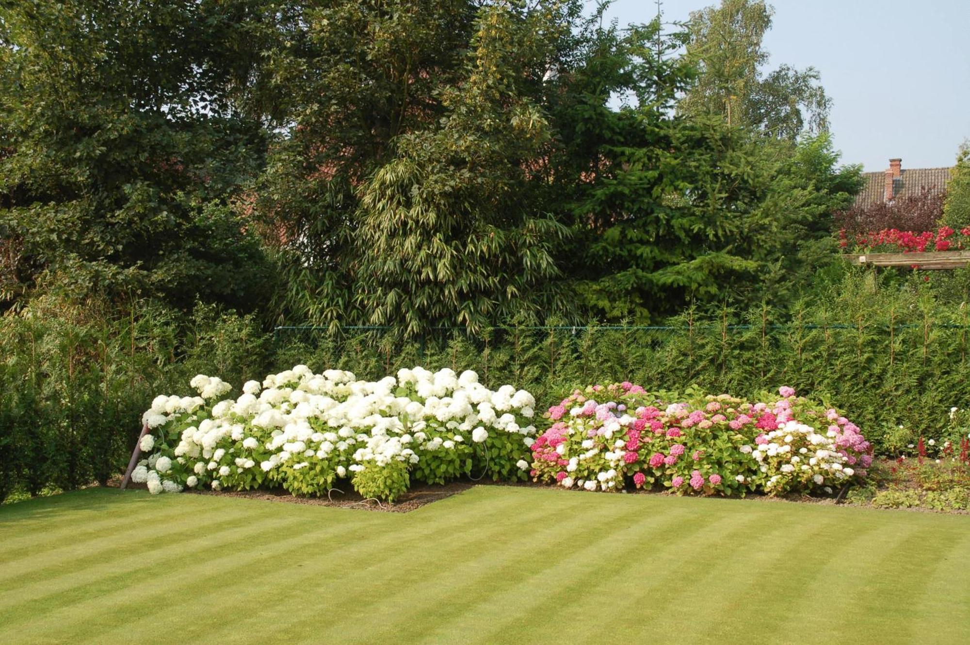 B&B Bloemenweelde Arrondissement di Courtrai Esterno foto