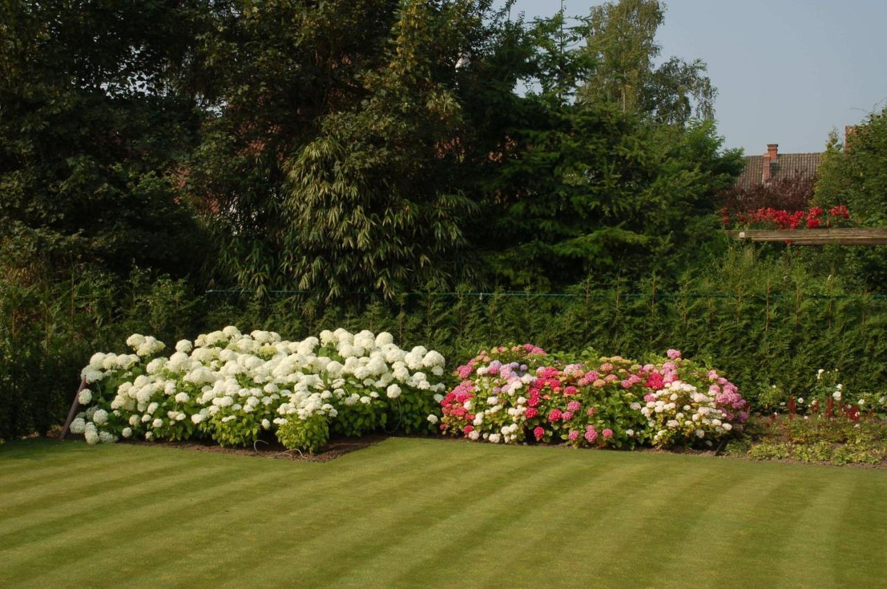 B&B Bloemenweelde Arrondissement di Courtrai Esterno foto